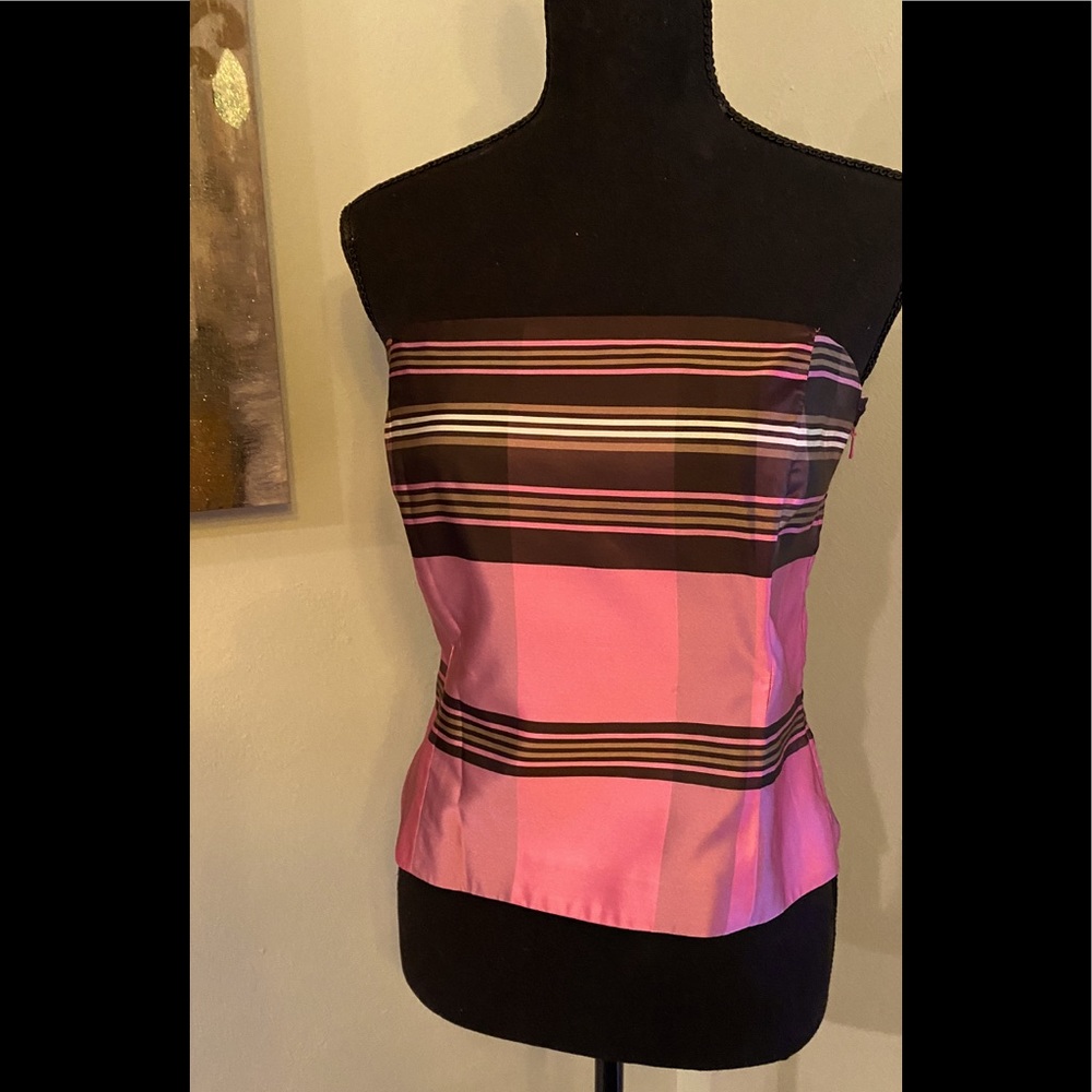 Gorgeous EUC Banana Republic Silk Violet Bustier
